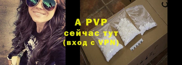 гашик Верея