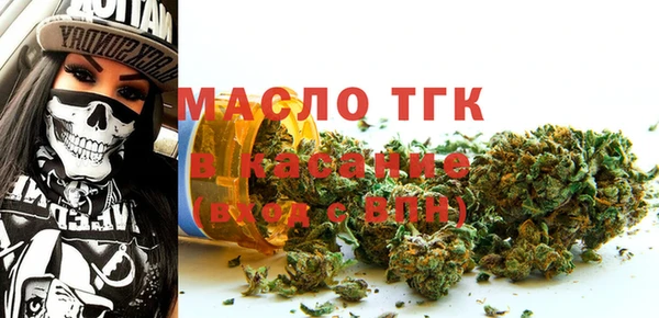 гашик Верея