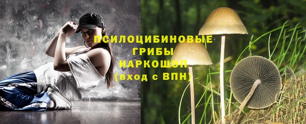 гашик Верея