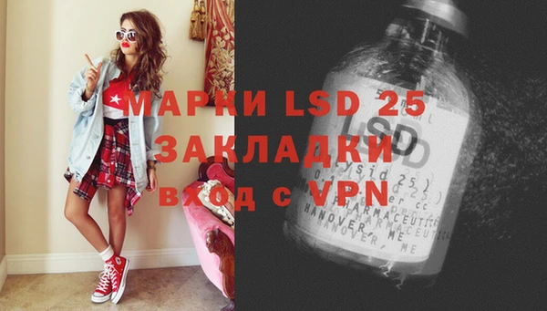 гашик Верея