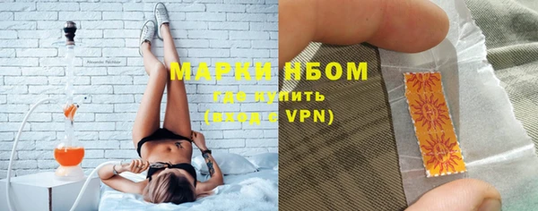 гашик Верея